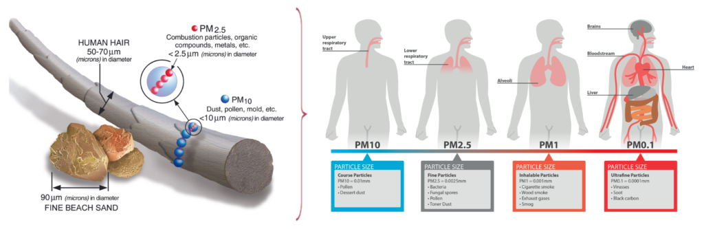 Air pollution and particulate matter that can cause cancer in organ systems across the body.